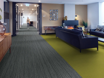 Showtime Ecosystems 08-11 937202 + Nuance 900208